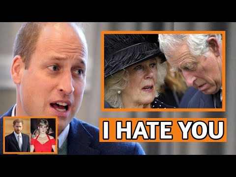 The People’s Princess Murdered: William and Harry Team Up to Uncover Camilla’s De-adly Conspiracy.