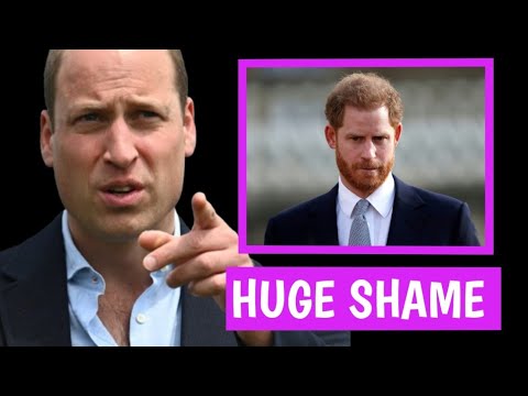 CAN’T ASK FORGIVENESS FROM TRAITORS! William Denied asking forgiveness from Harry! Harry In Shock